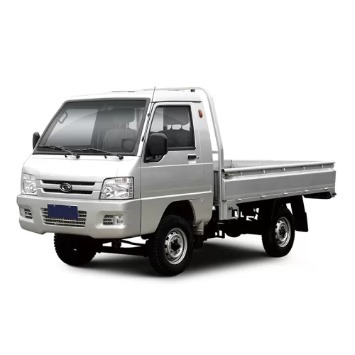 Brand New Four Wheels Mini Electric Cargo Truck with Dump Bed