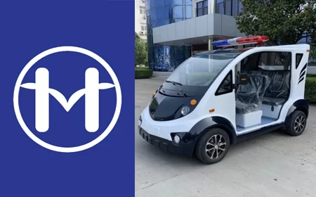 4-6 Seats Electric Patrol Car
