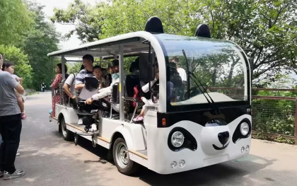 Hulk Vehicle Panda-face Gasoline Sightseeing Bus Put into Use