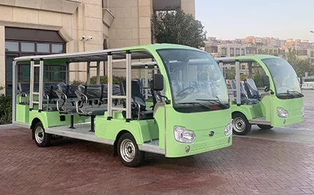 Customized Design Options