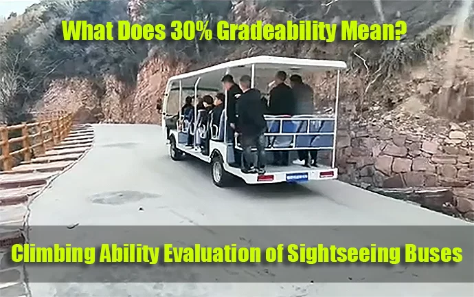 Climbing Ability Evaluation of Sightseeing Buses: What Does 30% Gradeability Mean?