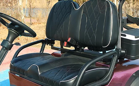 Comfortable & Stylish Seats