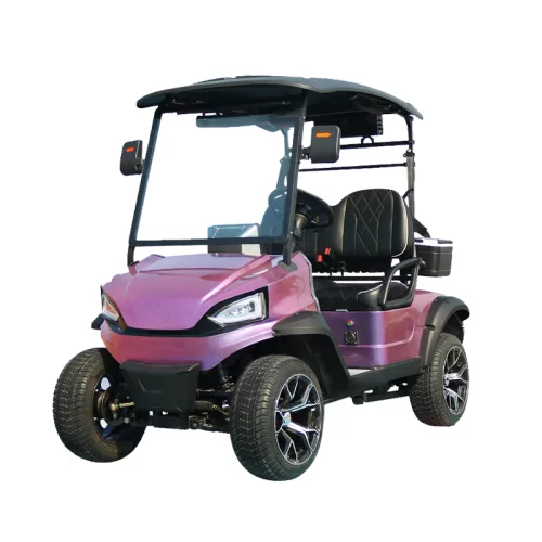 Cheap Street Legal 2 Seater Electric Golf Cart for Sale