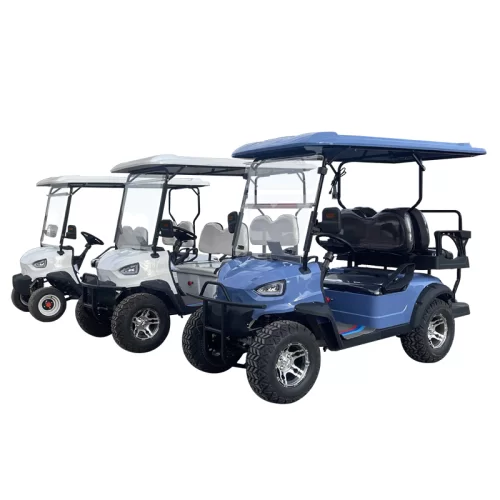 Custom New Popular Four Wheel 2-6 Person Electric Golf Cart