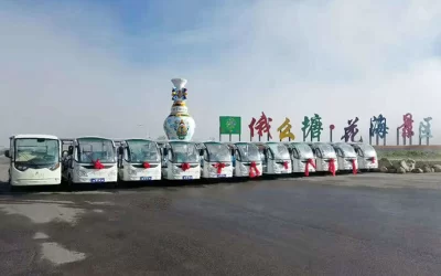 Electric Sightseeing Buses Project in Emutang Flower Sea Scenic Area