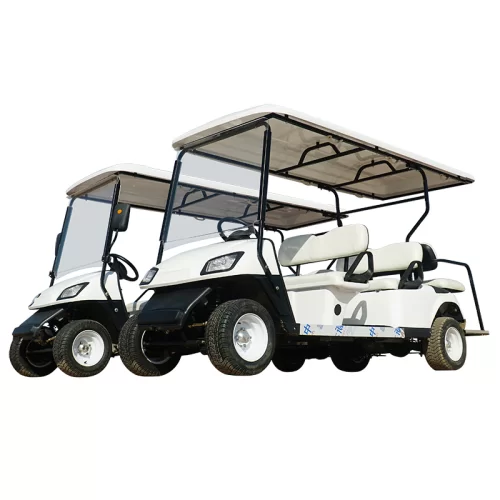 New Affordable Standard Style 6 Seater Electric Golf Cart for Sell 